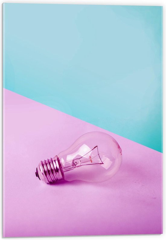 Acrylglas - Gloeilamp Roze/Blauwe Achtergrond  - 40x60cm Foto op Acrylglas (Met Ophangsysteem)