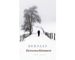 Hersenschimmen