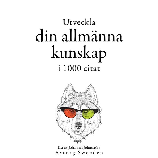 Utveckla din allmänna kunskap i 1000 offerter - cover