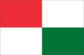 Vlag gemeente Opsterland 100x150 cm