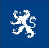 Vlag gemeente Heemskerk 150x225 cm