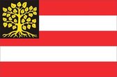 Vlag gemeente 's-Hertogenbosch 150x225 cm
