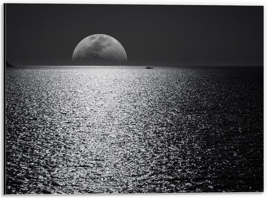 Dibond - Maan aan de Horizon Zwart - Wit - 40x30cm Foto op Aluminium (Wanddecoratie van metaal)