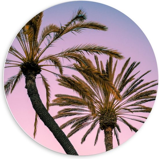Forex Wandcirkel - Palmbomen bij Pastellucht - 60x60cm Foto op Wandcirkel (met ophangsysteem)