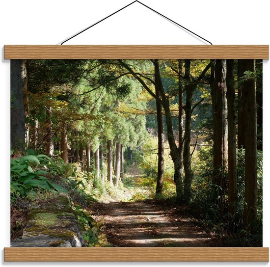 Schoolplaat – Weg in het Bos - 40x30cm Foto op Textielposter (Wanddecoratie op Schoolplaat)