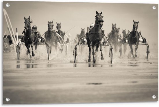Tuinposter – Racepaarden achter Kar - 90x60cm Foto op Tuinposter  (wanddecoratie voor buiten en binnen)