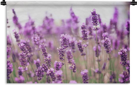 Tapisserie De lavande - Gros plan d'un champ de lavande baigné de soleil Tapisserie coton 120x80 cm - Tapisserie avec photo