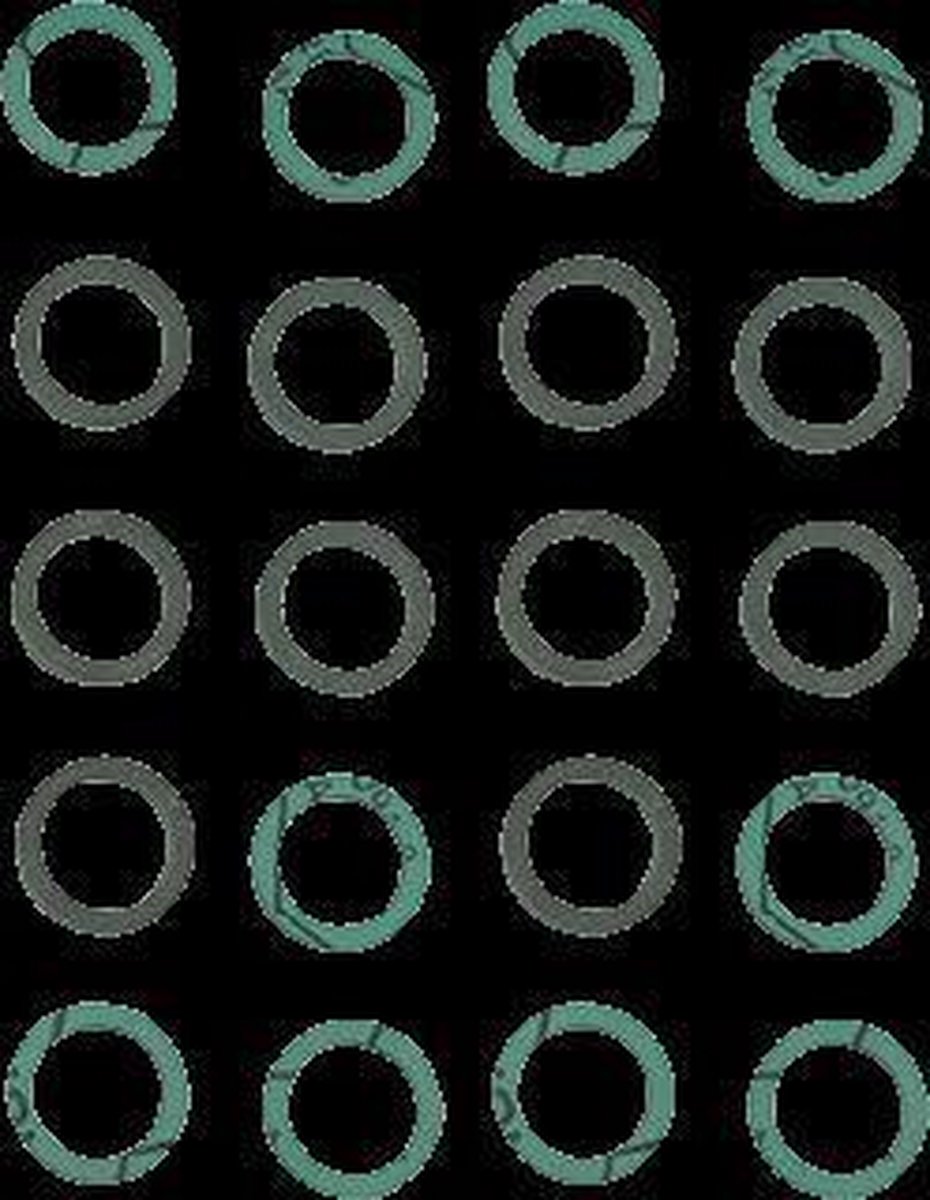 Remeha pakkingring zak=20 stuks 23.8x17.7x2mm t.b.v.Tzerra(Plus),Avanta,Calenta(Ace),Quinta(Pro)