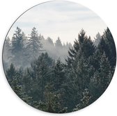 Dibond Wandcirkel - Boomtoppen - 60x60cm Foto op Aluminium Wandcirkel (met ophangsysteem)