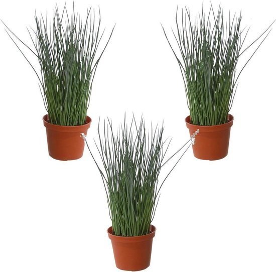 Kunstplant Buxus rood in pot 19 cm UV