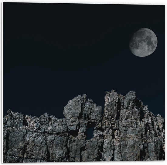 Forex - Maan boven Rotsen - 50x50cm Foto op Forex