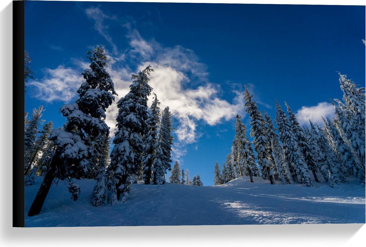 KuijsFotoprint Canvas - Blauwe Lucht met Besneeuwde Bomen - 60x40cm Foto op Canvas Schilderij (Wanddecoratie op Canvas)