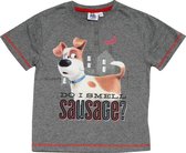 Universal T-shirt Huisdiergeheimen Junior Katoen Grijs Mt 4 Jaar