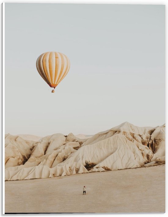 Forex - Luchtballon in Woestijn - 30x40cm Foto op Forex