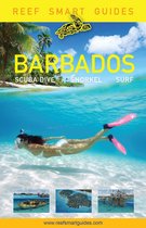 Reef Smart Guides - Reef Smart Guides Barbados