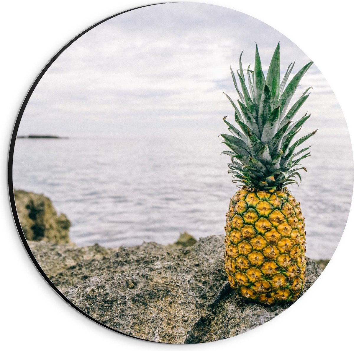 Dibond Wandcirkel - Ananas op een Rots bij de Zee - 20x20cm Foto op Aluminium Wandcirkel (met ophangsysteem)