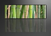 Schilderij - Bamboe, Groen, 120X40cm, 1luik