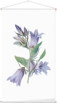 Ruig Klokje (Nettle Leaved Bellflower) - Foto op Textielposter - 60 x 90 cm