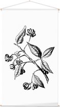 Kardinaalsmuts zwart-wit (Spindle Tree) - Foto op Textielposter - 60 x 90 cm
