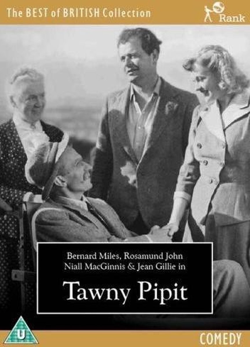 Tawny Pipit