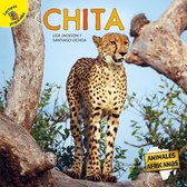 Animales africanos (African Animals) - Chita