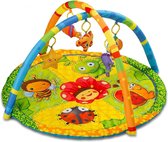 Kidwell Babygym Tabi Educatief 80 Cm Multicolor