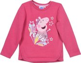Leuke trui / Sweater van Peppa Pig maat 122/128