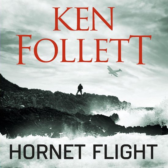 Hornet Flight - cover