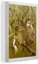 Canvas Schilderij Illustratie dwergmuizen in de natuur - 60x90 cm - Wanddecoratie