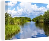 Canvas Schilderij Landschap in Everglades - 60x40 cm - Wanddecoratie