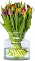 Gemengde tulpen - 200 stuks