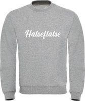 Hatseflatse Trui grijs | Massa is kassa | Peter Gillis | sweater | unisex