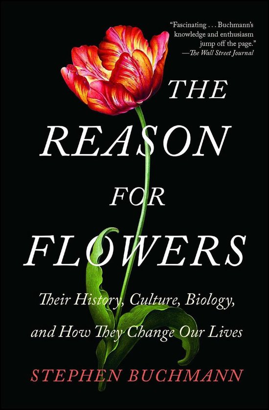 The Reason for Flowers - cover