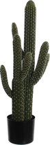 Mica Decorations Cactus Kunstplant - H83 x Ø35 cm - Groen
