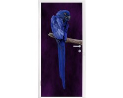 Deursticker Hyacint ara - Een hyacint ara tegen een donkerblauwe achtergrond - 95x215 cm - zelfklevende deurposter - bubbelvrij en herpositioneerbare deursticker