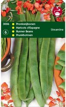 Hortitops Zaden - Pronkbonen Streamline (Roodbloeiers)
