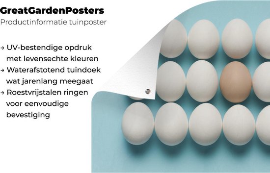 Affiche de jardin oeuf brun individuel entre oeufs blancs 160x120 cm - Toile de jardin / Toile d'extérieur / Peintures d'extérieur (décoration de jardin) XXL / Groot format!