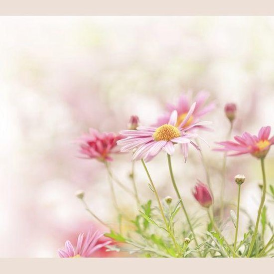 Meditation for Healthy Pregnancy (With Soothing Nature Sound ... - cover