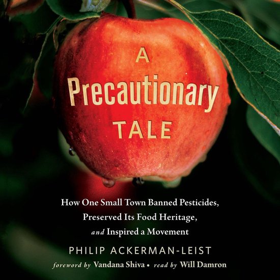 Precautionary Tale, A - cover