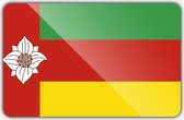 Vlag gemeente Tynaarlo - 150 x 225 cm - Polyester