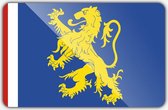 Vlag gemeente Leeuwarden - 70 x 100 cm - Polyester