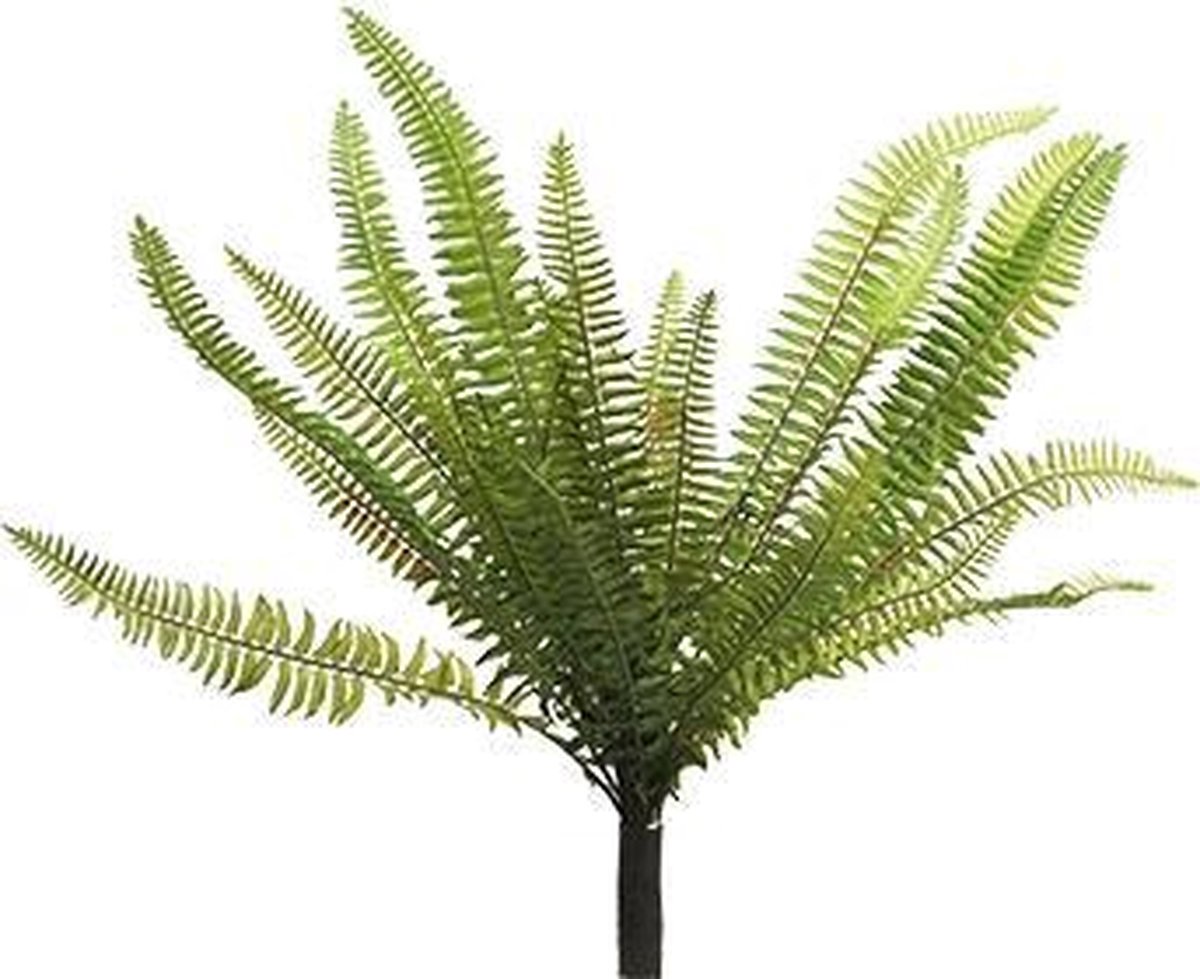 Erutan avon Nephrolepis Boston green 40 cm kunstplant Erutan Avon groen