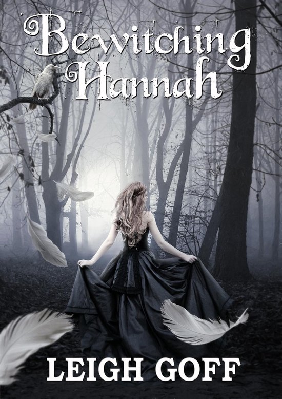 Bewitching Hannah - cover