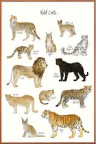 JUNIQE - Poster met kunststof lijst Wilde katten illustratie -40x60