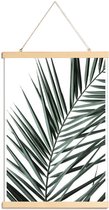 JUNIQE - Posterhanger Phoenix -40x60 /Groen & Wit