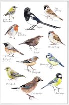 JUNIQE - Poster met kunststof lijst Vogel illustratie -13x18