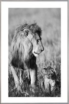 JUNIQE - Poster met kunststof lijst Lion Teaching His Cub -13x18