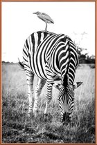 JUNIQE - Poster met kunststof lijst Zebra and Friend -30x45 /Wit &