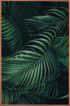 JUNIQE - Poster met kunststof lijst Feathered Palm -60x90 /Groen