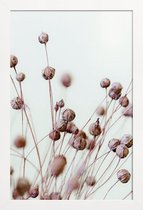 JUNIQE - Poster in houten lijst Poppy Heads -40x60 /Bruin & Ivoor